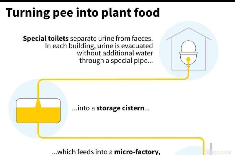 How Human Urine Fertilizer Could Sustainably Feed the World