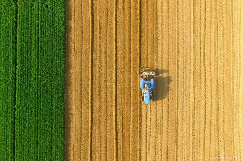 How Human Urine Fertilizer Could Sustainably Feed the World