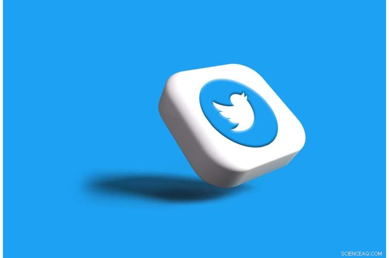 AI for Social Good: Expert Highlights Need for Nuanced AI on Twitter to Combat Hate Speech