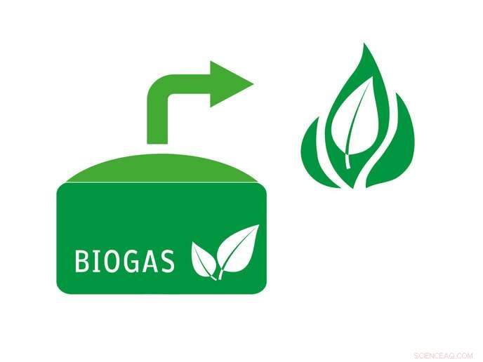DiBiCoo s Global Biogas and Gasification Matchmaking Platform: Connect Solutions and Business Needs