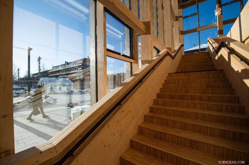 Sara Cultural Centre: Scandinavia s Tall Timber Pioneer in Sustainable High-Rises