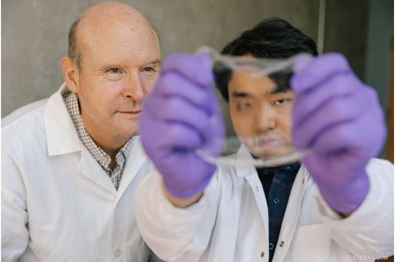 Advancing Ionic Skin: Hydrogel Research Using Jelly Dessert Models