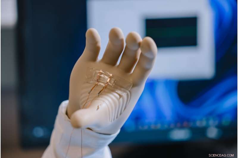 Advancing Ionic Skin: Hydrogel Research Using Jelly Dessert Models