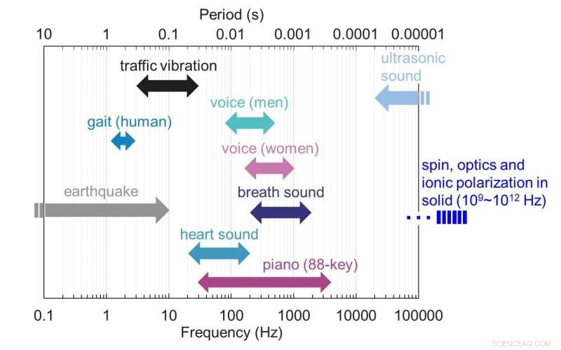 Ionic Liquid Reservoir Computing: Enhancing Efficiency and Flexibility in Edge AI Systems