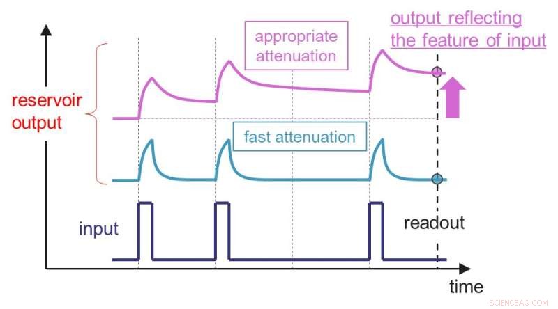 Ionic Liquid Reservoir Computing: Enhancing Efficiency and Flexibility in Edge AI Systems