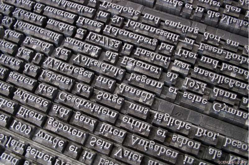 Language Learning Algorithms: Risks of Inequality and Social Division