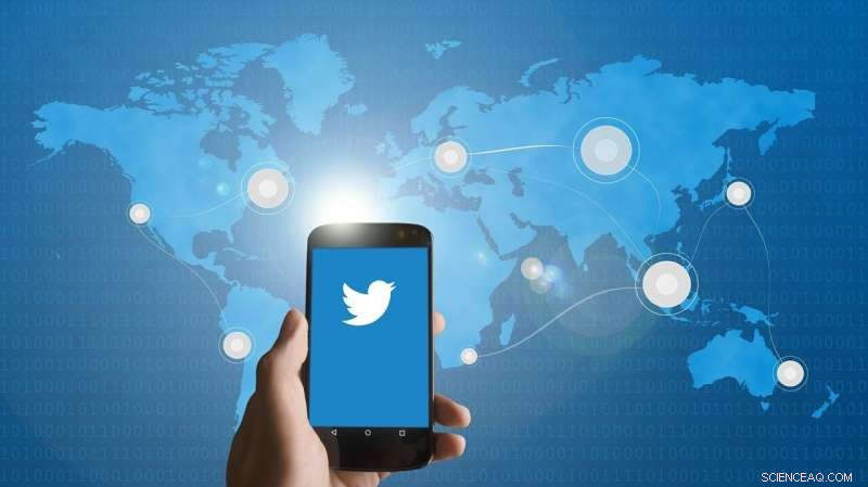 Elon Musk s Twitter Privatization: Shareholder Impact and Strategic Implications