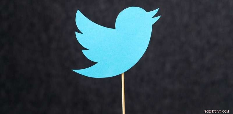 The Critical Need for Democratic and Inclusive Social Media Regulation