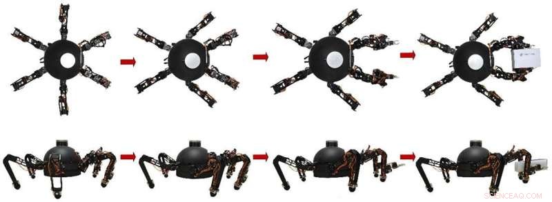 ALLOMAN: A Novel Leg-Arm Integrated Hexapod Robot for Versatile Manipulation
