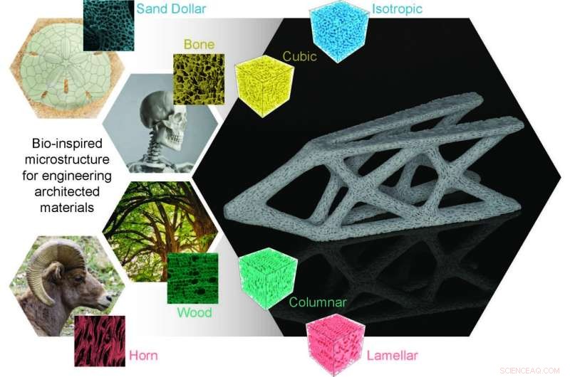 Princeton s Biomimetic Porous Materials: Strong, Lightweight Innovations for Aerospace, Construction, and Medical Implants