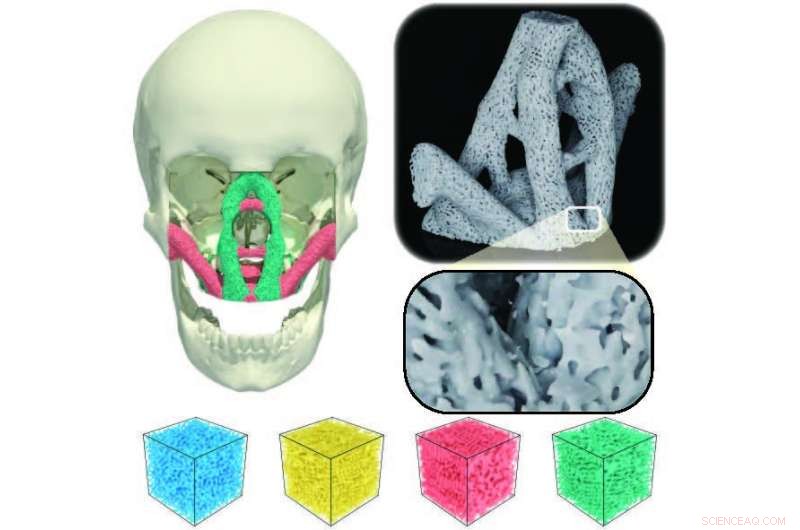 Princeton s Biomimetic Porous Materials: Strong, Lightweight Innovations for Aerospace, Construction, and Medical Implants