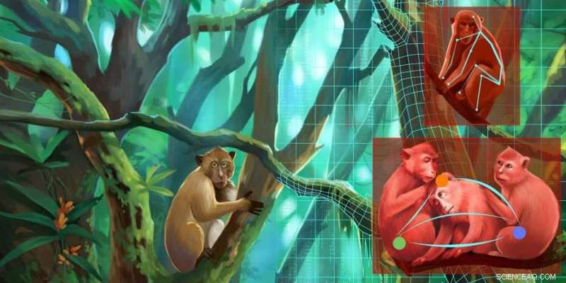 AI-Driven Analysis Revolutionizes Animal Behavior Research and Welfare