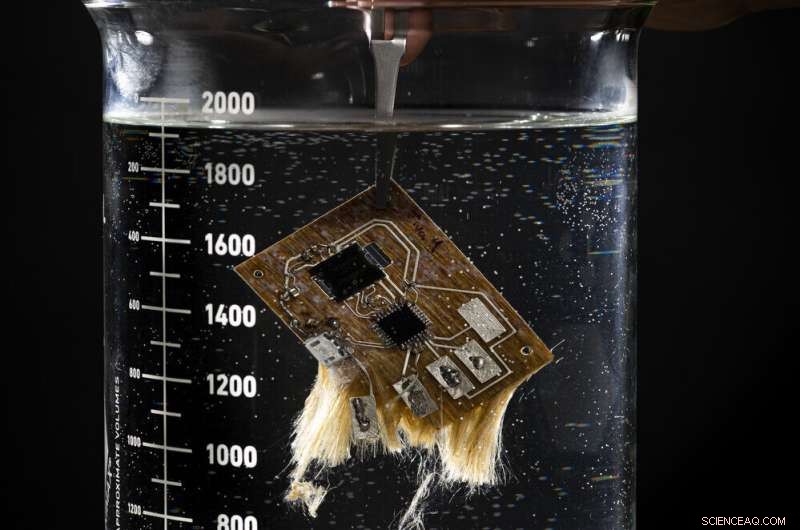 Sustainable Electronics: Q&A on Eco-Friendly Devices