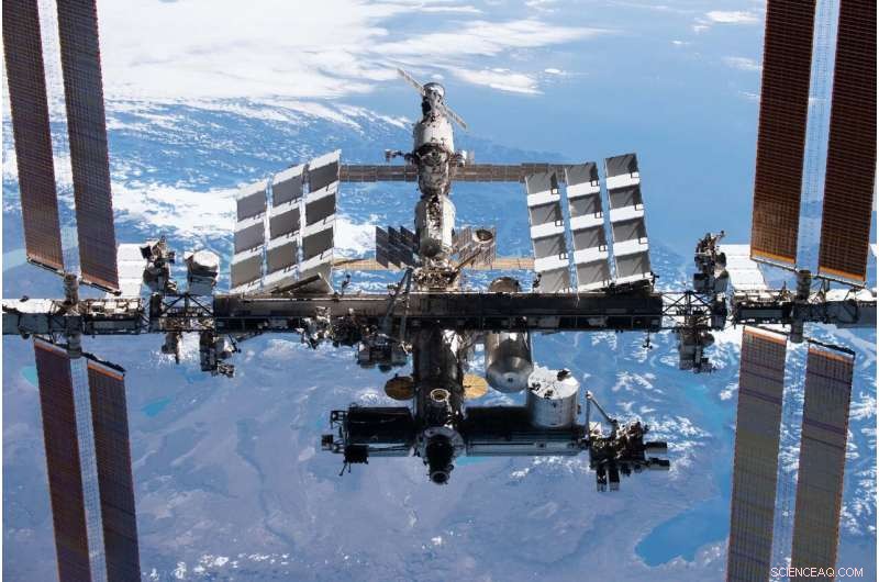 NASA Funds Development of 3D Cartilage Printer for Space Applications