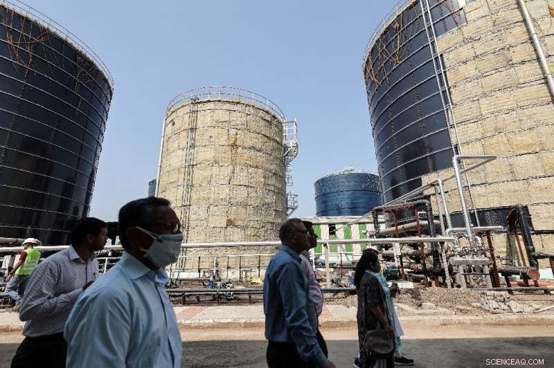 India Harnesses Cow Dung for Clean Energy and Farmer Revenue Growth