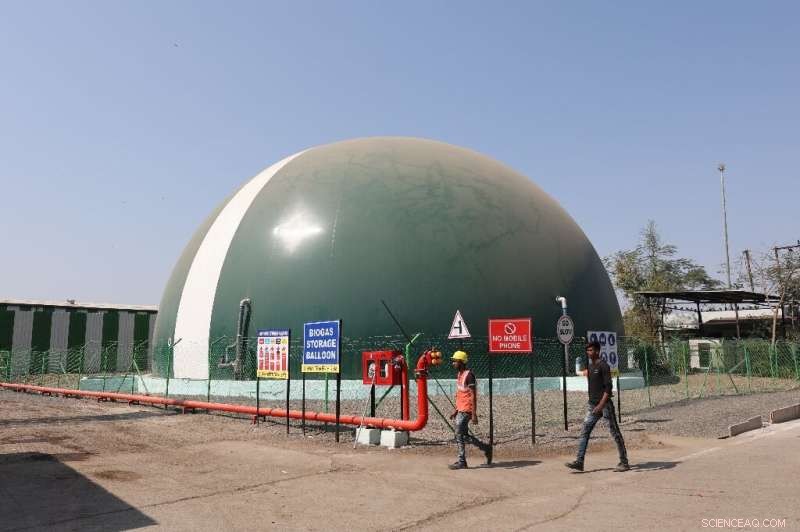 India Harnesses Cow Dung for Clean Energy and Farmer Revenue Growth