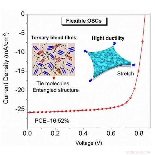 Breakthrough Flexible Organic Solar Cells: High Efficiency with Superior Stretchability and Thermal Stability