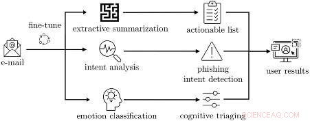 Empowering Inexperienced Users: A Model for Accurate Phishing Email Identification