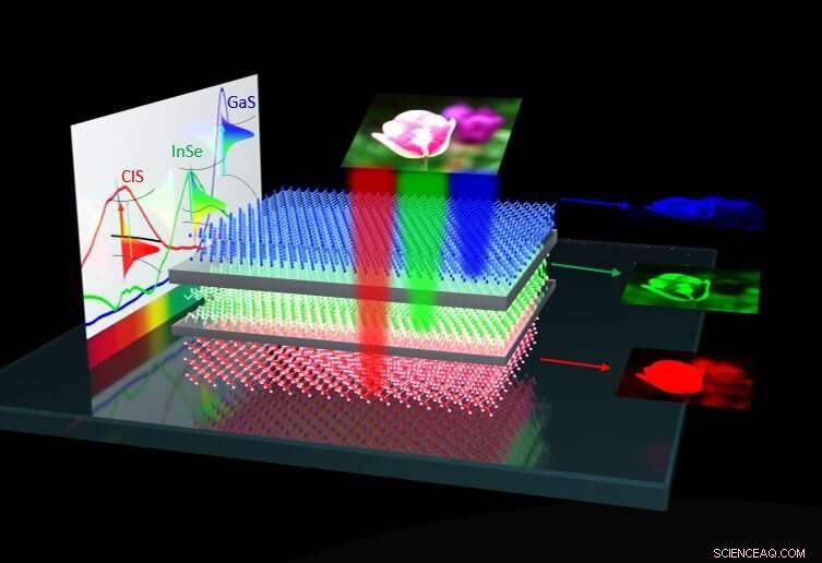 Georgia State University Breakthrough: Novel Artificial Vision Device Enhances Color Recognition