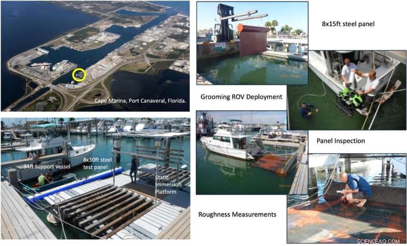 Breakthrough Biofouling Control Research Cuts Ship Fuel Use and Emissions