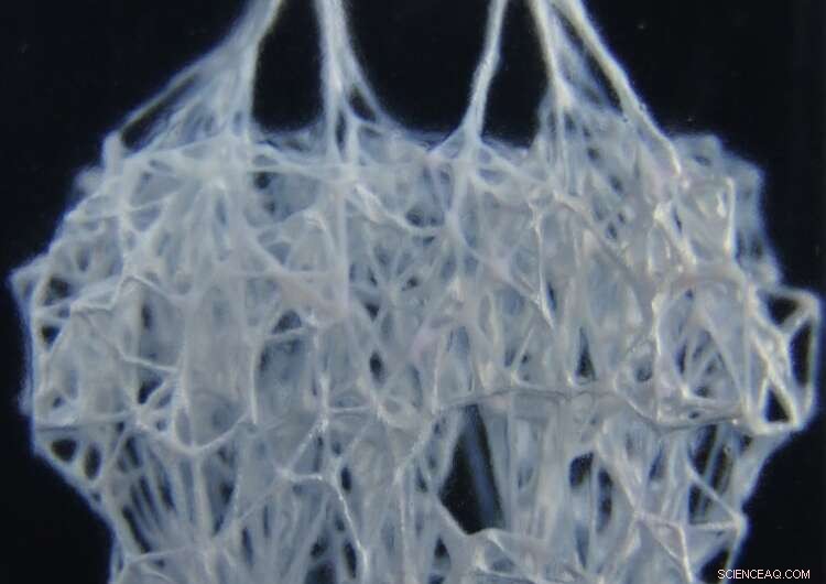 Revolutionary 3D-Printing Breakthrough: Combine Liquids and Solids for Rapid Robot and Device Fabrication