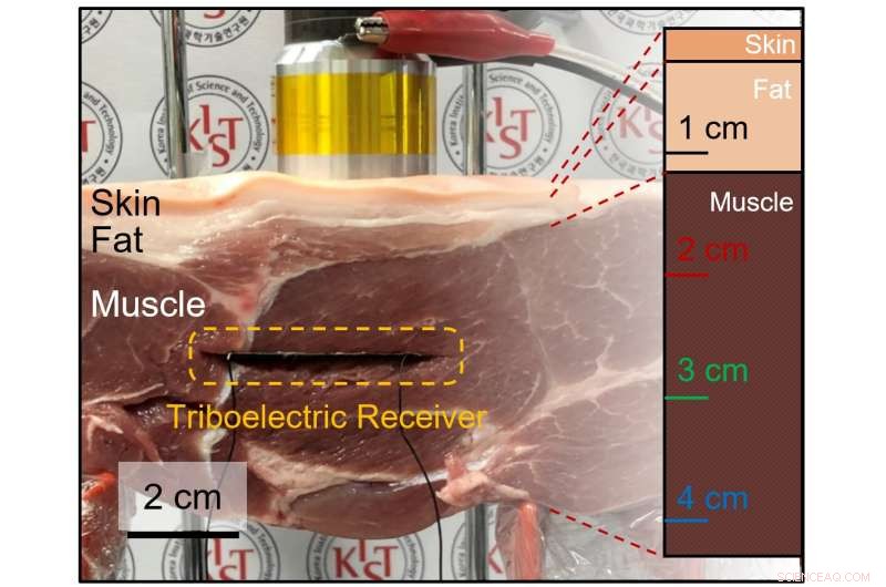 Ultrasonic Wireless Charging: Safe Power for Implanted Medical Devices and Underwater Electronics