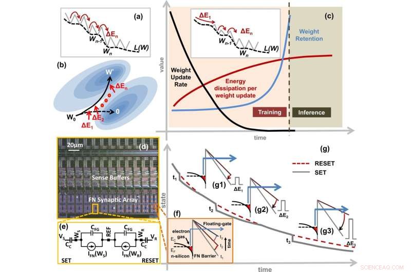 Energy-Efficient Synaptic Memory: A Nature-Inspired Approach for AI
