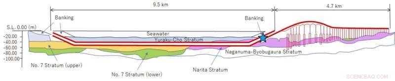 Muon Detector Observes Tsunami Waves in Tokyo Bay