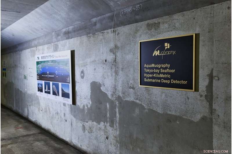 Muon Detector Observes Tsunami Waves in Tokyo Bay