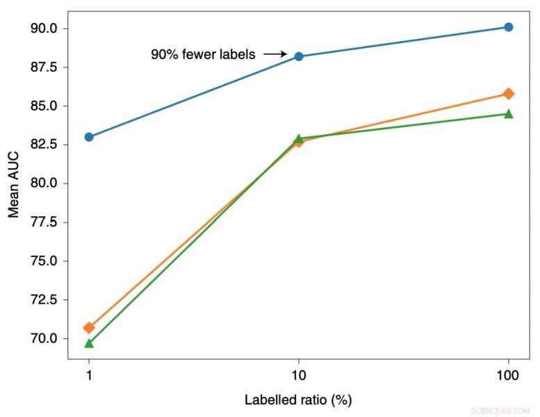 AI-Powered Medical Image Diagnostics: Cost-Effective & Accurate