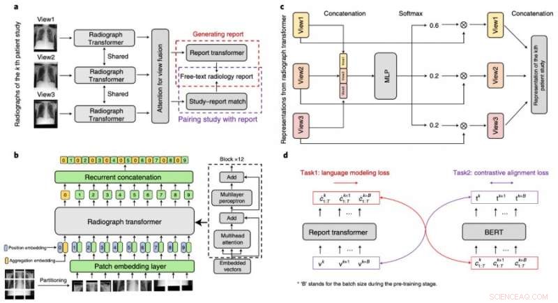 AI-Powered Medical Image Diagnostics: Cost-Effective & Accurate