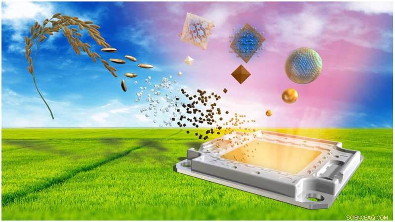 Rice Husk LED Lights: Sustainable Innovation from Agricultural Waste