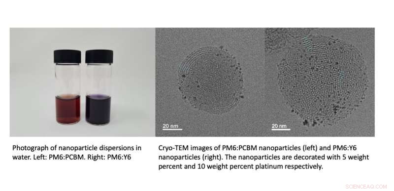 Organic Semiconductor Nanoparticles for Efficient Solar Fuel Production