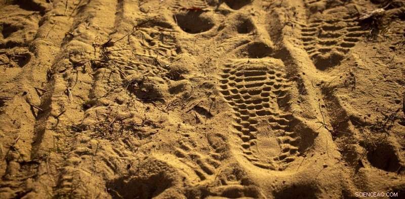 Digital Footprints: How Hackers Exploit Your Online Trail to Breach Networks