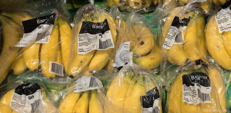 Innovative Technologies in Food, Transport, and Energy Sectors to Counter Climate Change