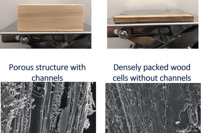 Superwood: A Sustainable Alternative for Infrastructure Development
