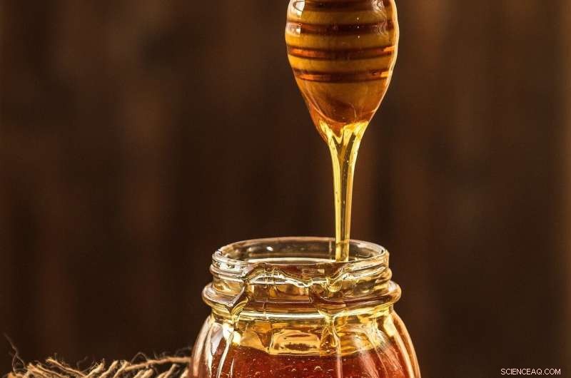 Honey-Inspired Materials for Next-Gen Neuromorphic Computing