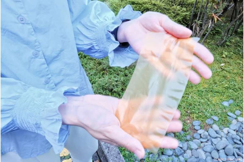 Recyclable Pollen Paper: Scientists Create Reusable, Reprintable Material