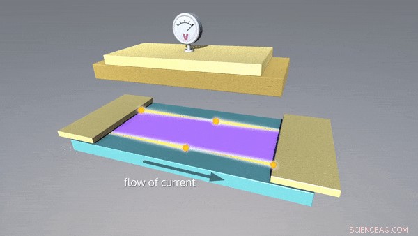 Lossless Electronics Breakthrough: Magnet-Topological Insulator Sandwich