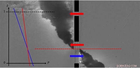 Sash Window Ventilation: Science & Natural Airflow Explained