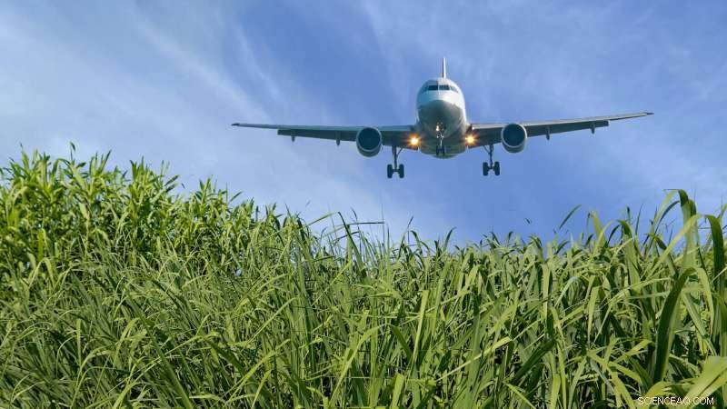 Hybrid Microbe-Catalysis Breakthrough: Sustainable Cellulosic Biofuels for Aviation