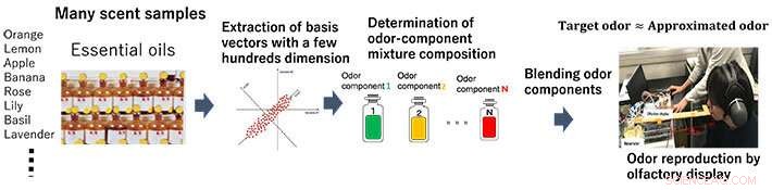 Innovative Multicomponent Olfactory Display for Precise Scent Recreation