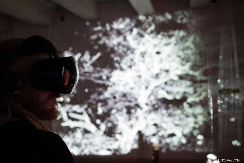 Metaverse Developers Confront Severe Sexual Harassment Challenges