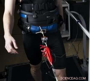 Study Reveals Wearable Technology Can Halve Energy Expenditure During Walking