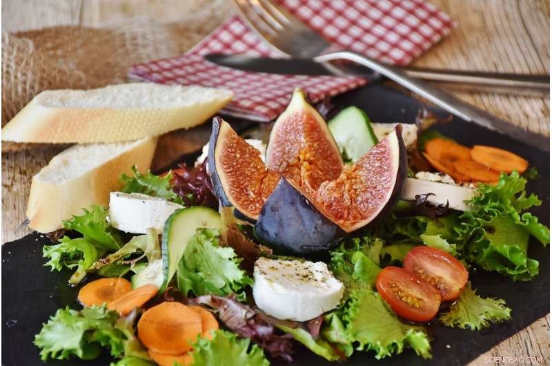 How Emerging Technologies Are Redefining Human-Food Interactions