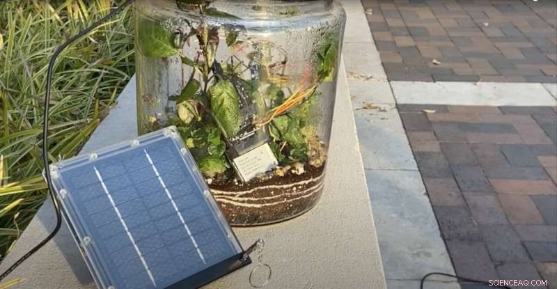 Northwestern s Battery-Free MakeCode: Empowering Kids with Sustainable Coding