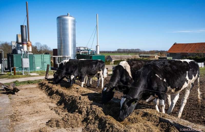 Germany Harnesses Farm Biogas to Reduce Dependence on Russian Gas