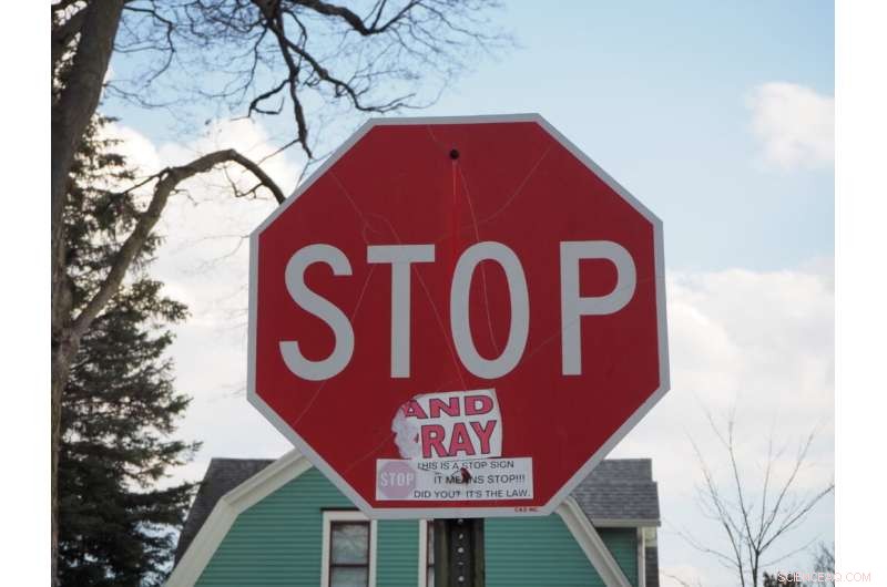 RAILS: Immune-Inspired Algorithm for Hack-Resistant Deep Neural Networks