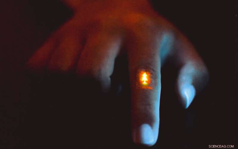 Flexible Displays for Next-Gen Electronics: A Breakthrough in Shapeable Technology