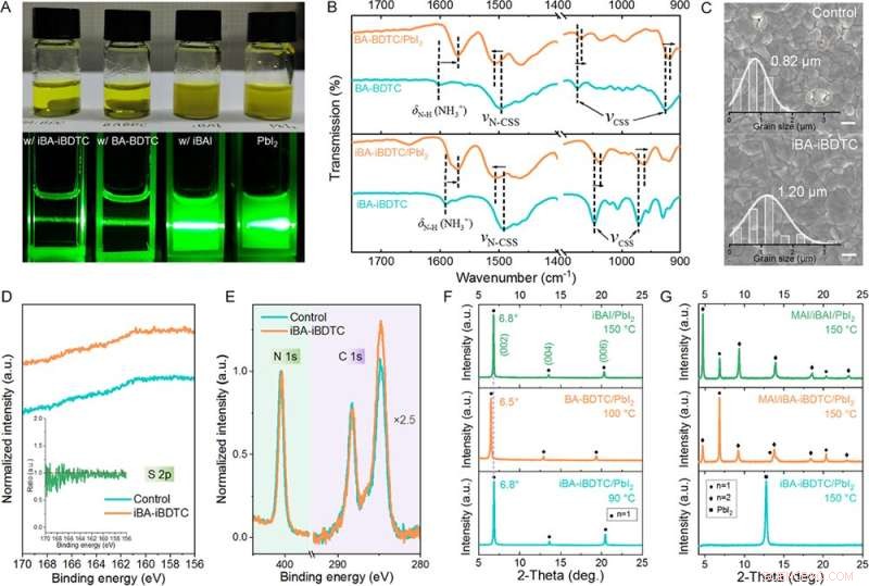 Crystallization Control Boosts Efficiency and Stability in Perovskite Solar Minimodules